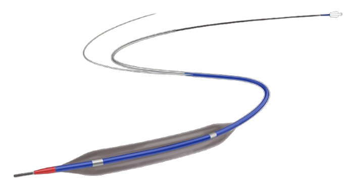 Intracranial Balloon Catheter